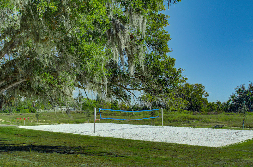 Volleyball Court